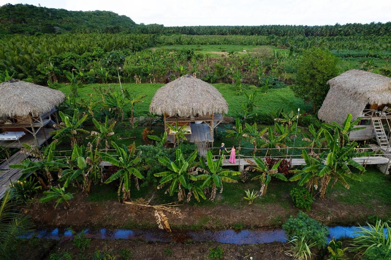 Samana Ecolodge El Limon Dış mekan fotoğraf