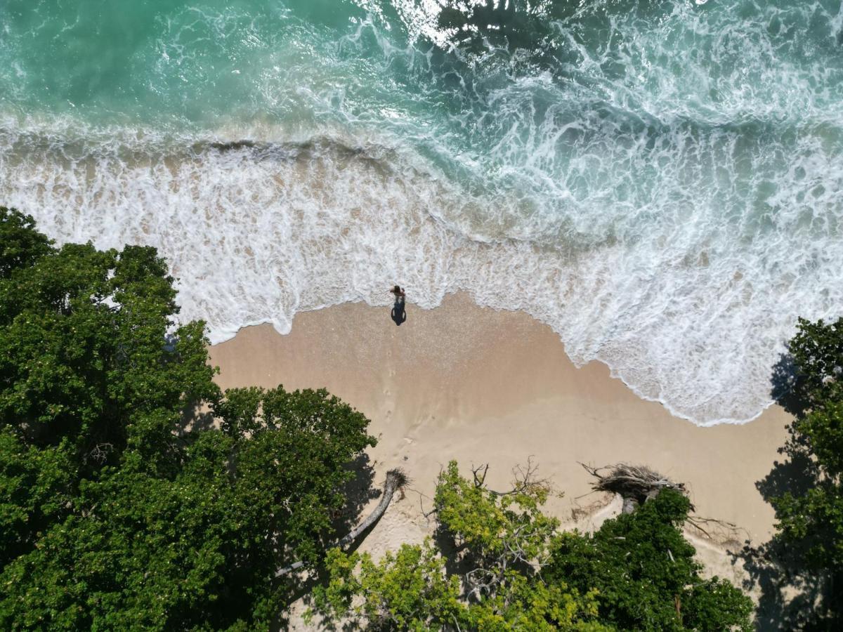 Samana Ecolodge El Limon Dış mekan fotoğraf