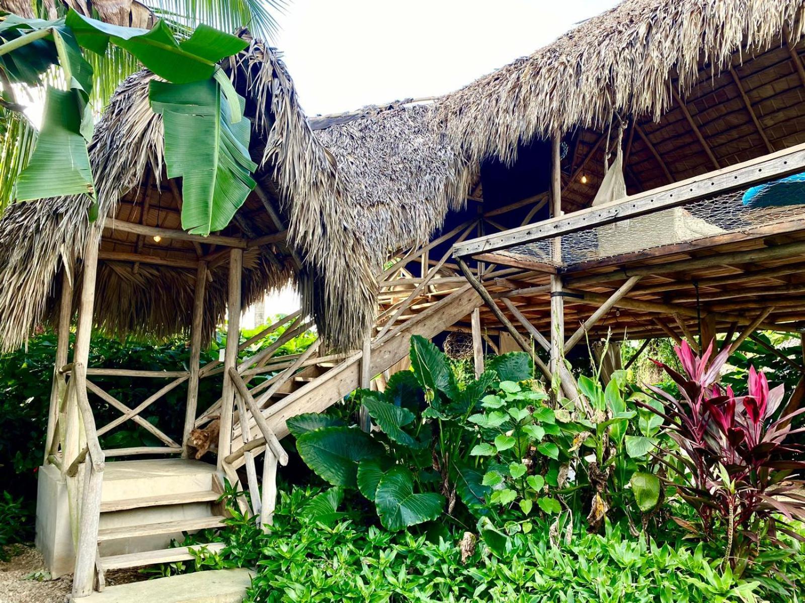 Samana Ecolodge El Limon Dış mekan fotoğraf