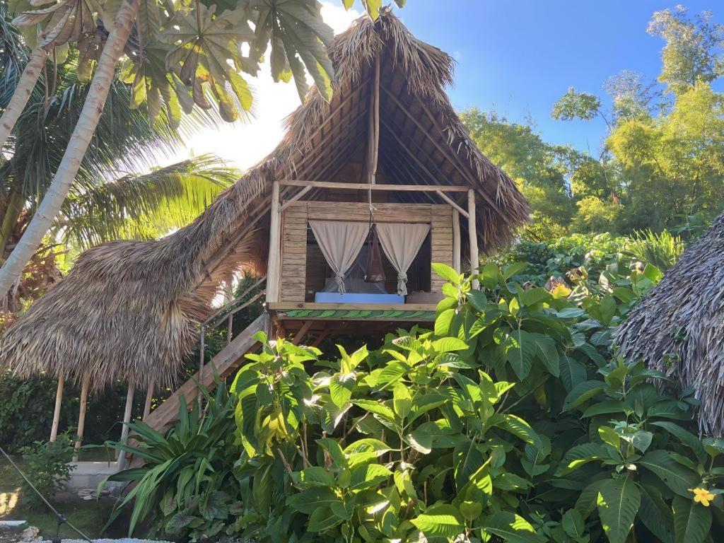 Samana Ecolodge El Limon Dış mekan fotoğraf