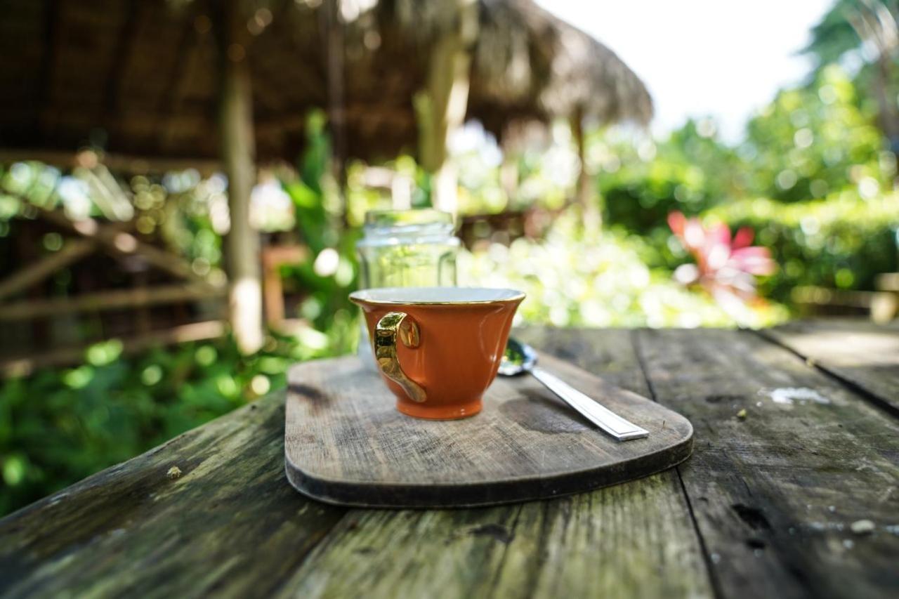 Samana Ecolodge El Limon Dış mekan fotoğraf
