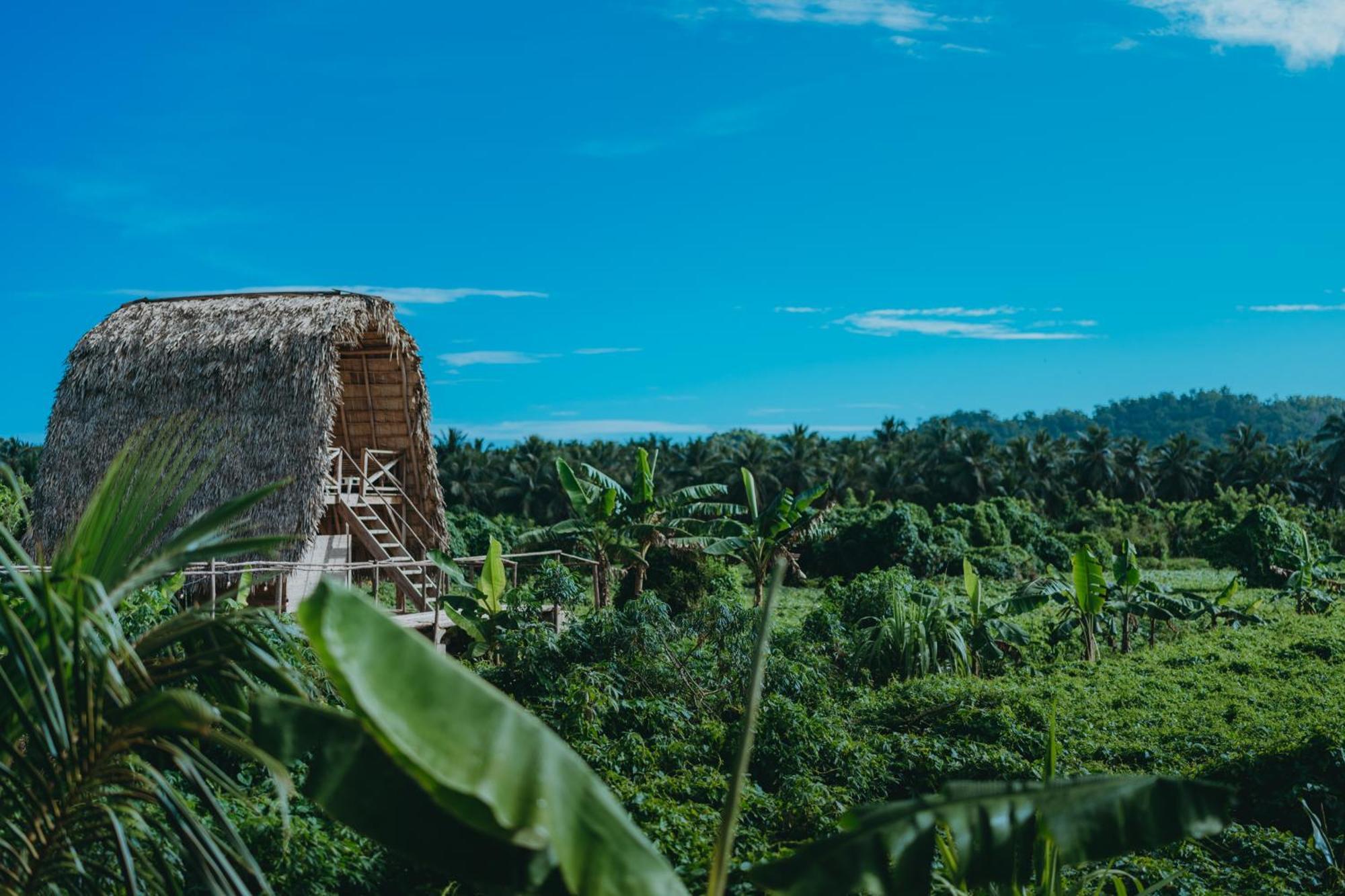 Samana Ecolodge El Limon Dış mekan fotoğraf