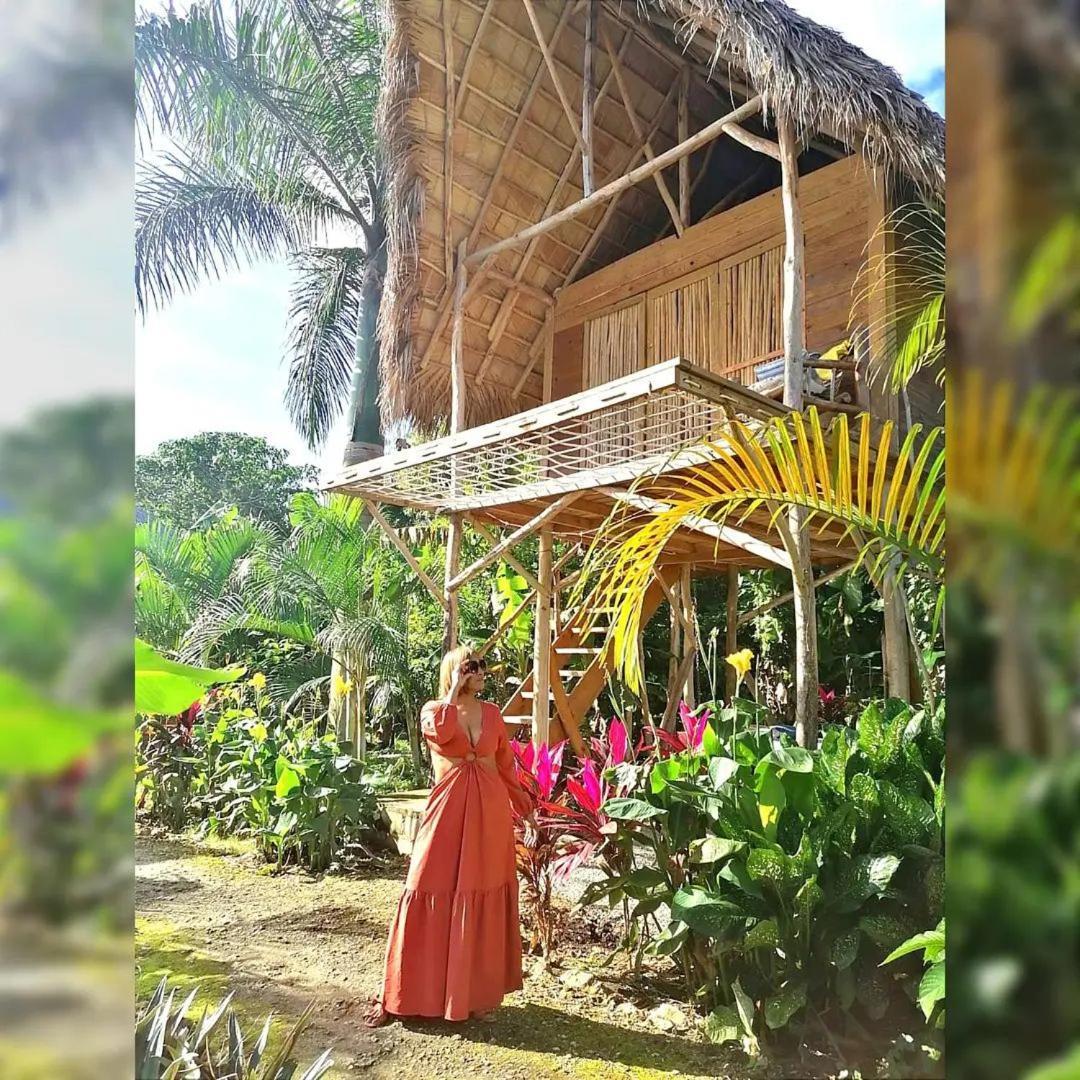Samana Ecolodge El Limon Dış mekan fotoğraf