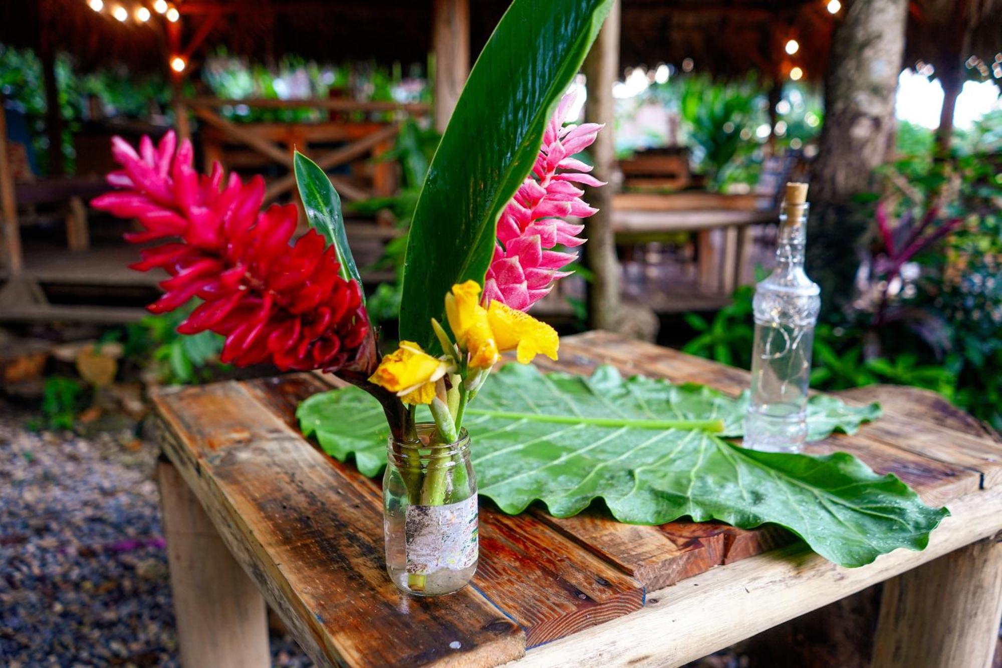 Samana Ecolodge El Limon Dış mekan fotoğraf