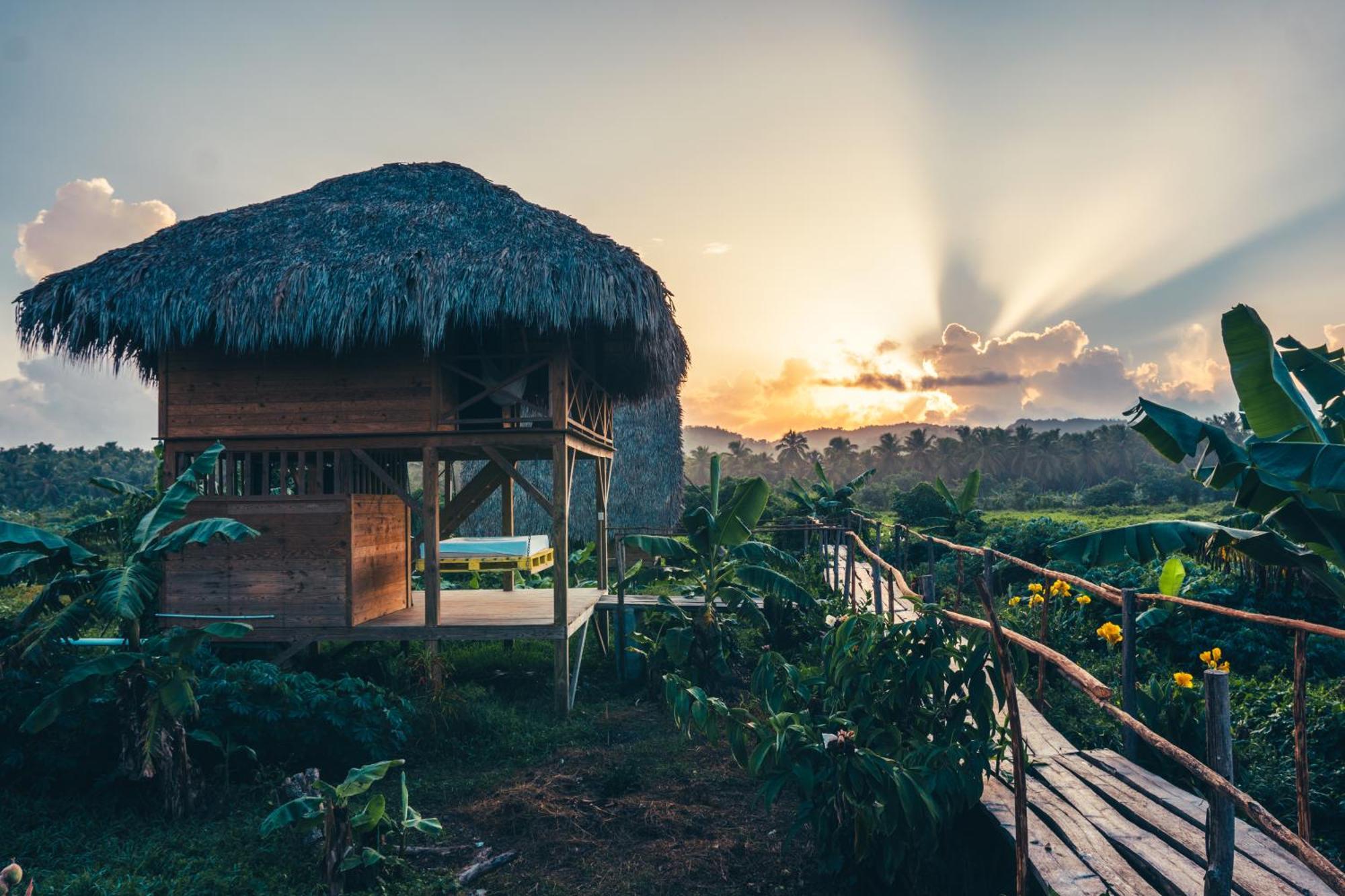 Samana Ecolodge El Limon Dış mekan fotoğraf